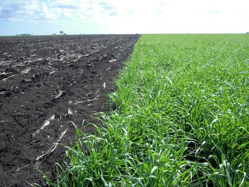 176 Bongeen School Road, Bongeen QLD 4356