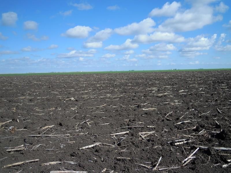 176 Bongeen School Road, Bongeen QLD 4356