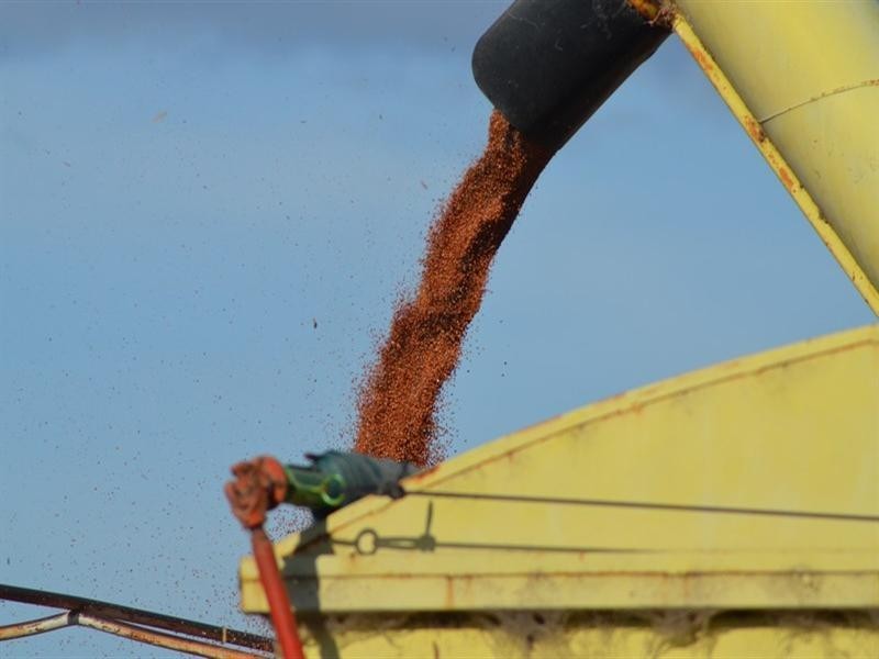 176 Bongeen School Road, Bongeen QLD 4356