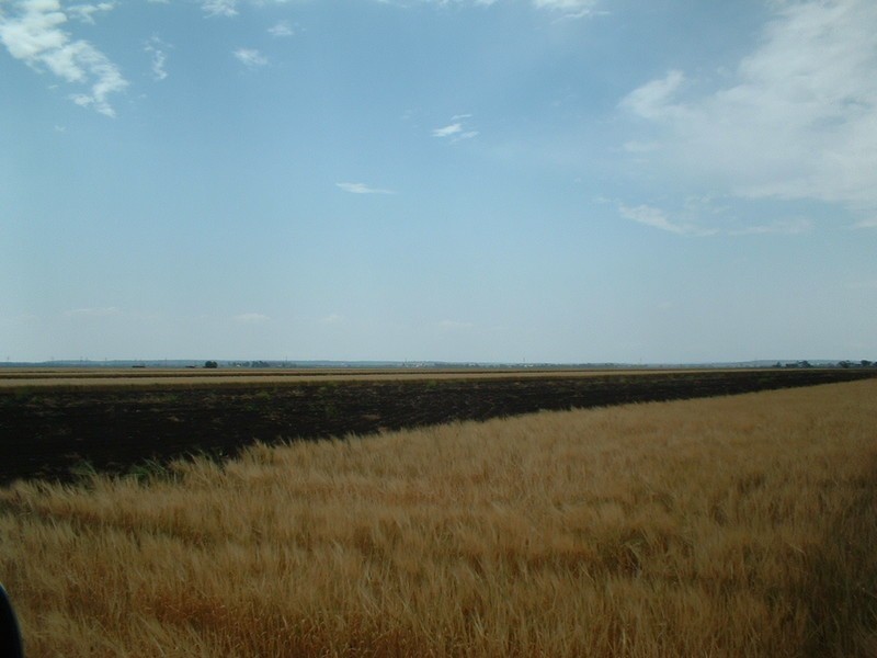Pittsworth QLD 4356
