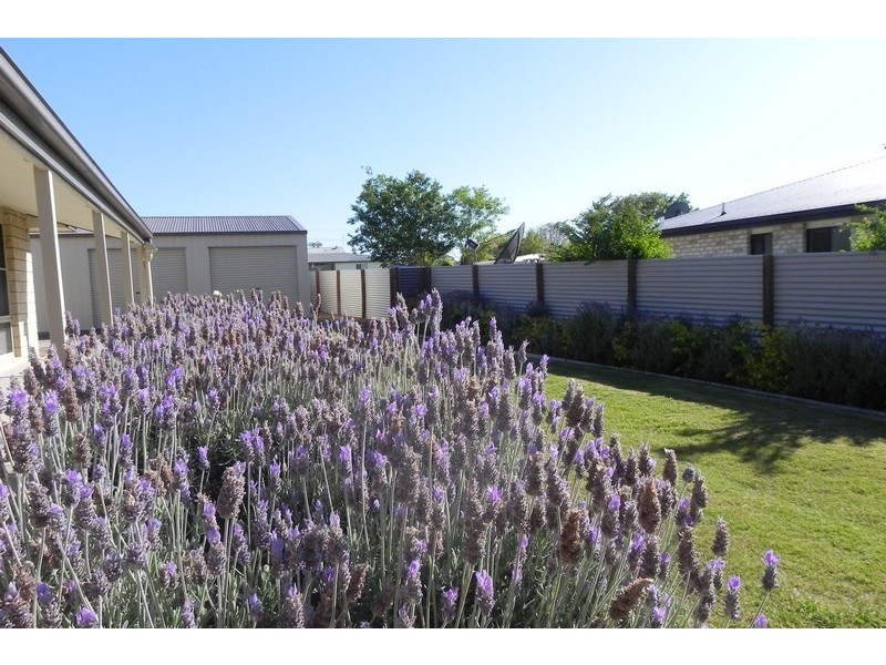 18 Draydon, Pittsworth QLD 4356