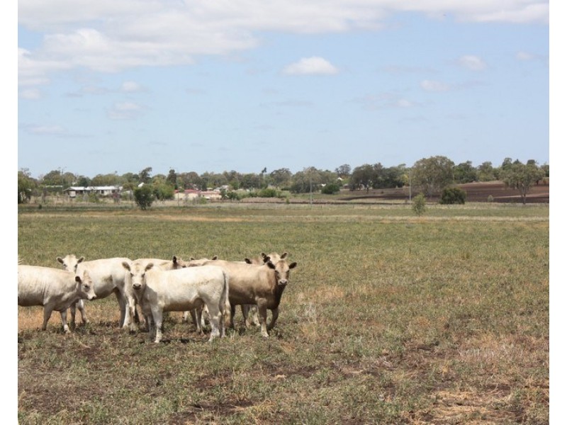 62 Oakey Road, Pittsworth QLD 4356