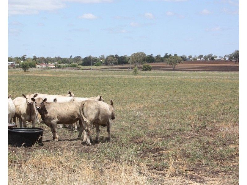 62 Oakey Road, Pittsworth QLD 4356