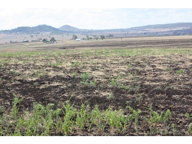 2991 Toowoomba Karara Road, Felton QLD 4358