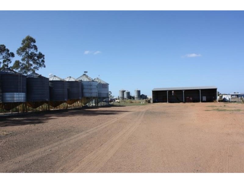 11 Bourke Street, Clifton QLD 4361