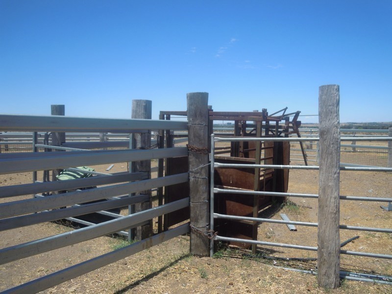 614 Blackwell Road, Millmerran QLD 4357