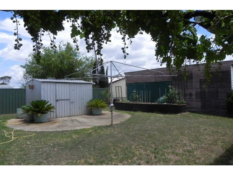 13 Tooth, Clifton QLD 4361