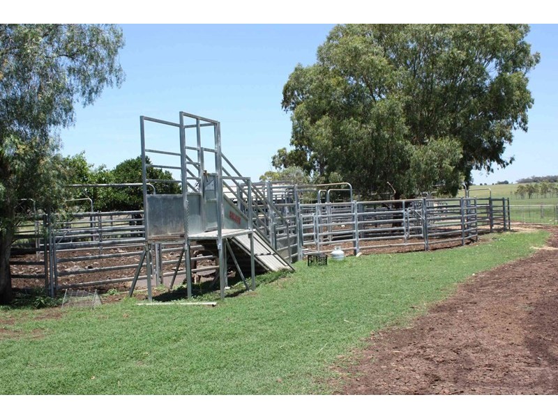 241 Pauli Road, Clifton QLD 4361
