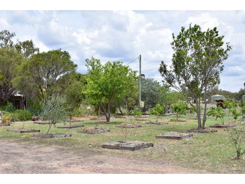 0 Dalby – Cecil Plains Road, Cecil Plains QLD 4407