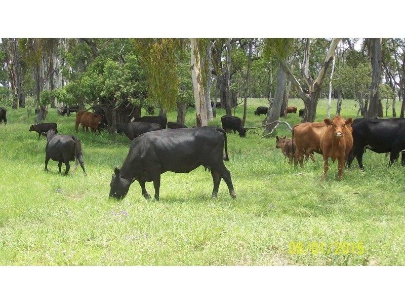 2845 Burra Burri Road, Jandowae QLD 4410