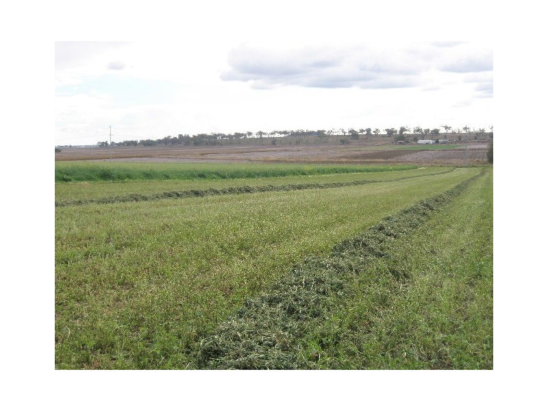 0 Motley Road, Pittsworth QLD 4356