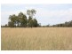 0 Millmerran-Cecil Plains, Millmerran QLD 4357