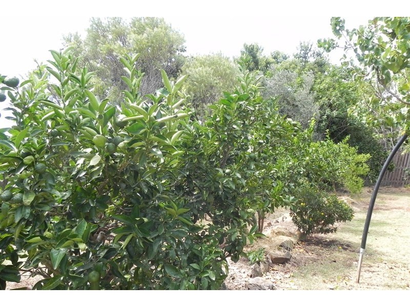 40 John, Southbrook QLD 4363