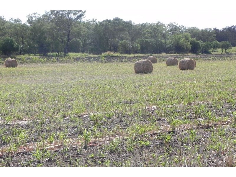 0 Knust Road, Irongate QLD 4356