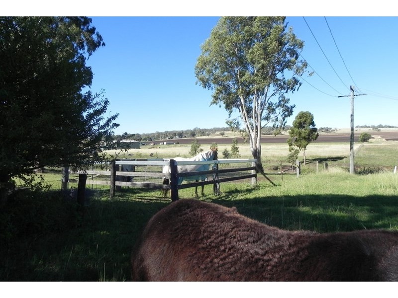 1 Weale, Pittsworth QLD 4356