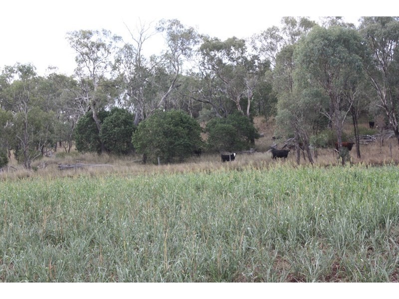Pittsworth QLD 4356