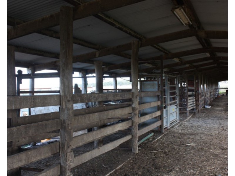594 West Talgai Road, Allora QLD 4362