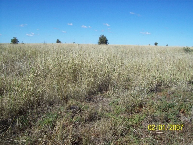 409 Corbetts, Dulacca QLD 4425