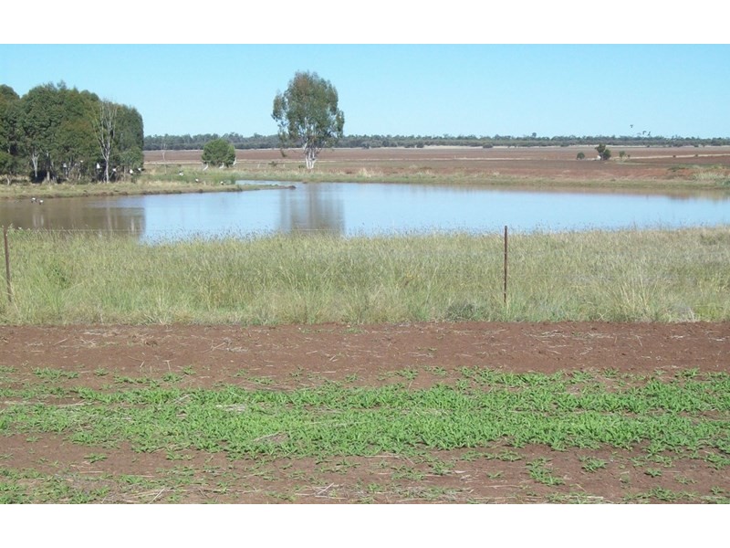 409 Corbetts, Dulacca QLD 4425