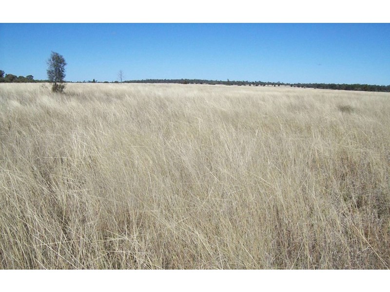 409 Corbetts, Dulacca QLD 4425