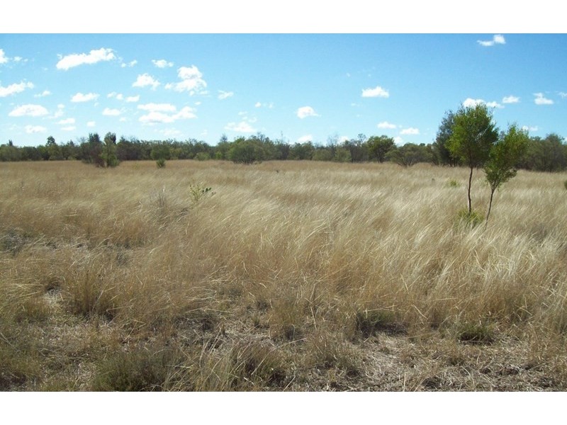 409 Corbetts, Dulacca QLD 4425