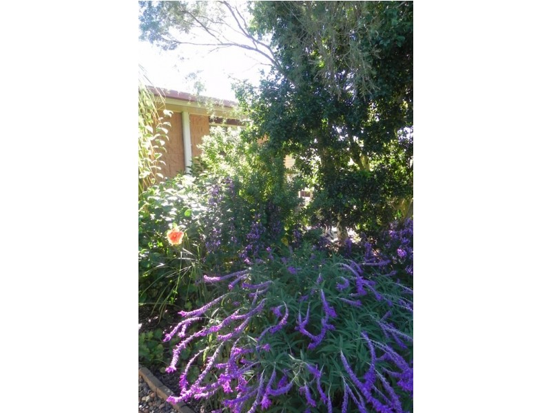 9 Pioneer Way, Pittsworth QLD 4356