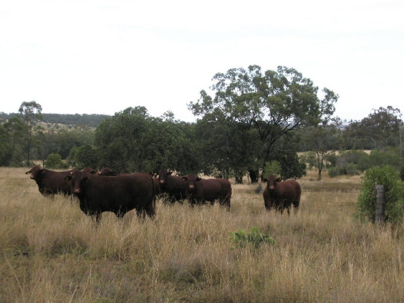 681 Stoneleigh Road, Pittsworth QLD 4356