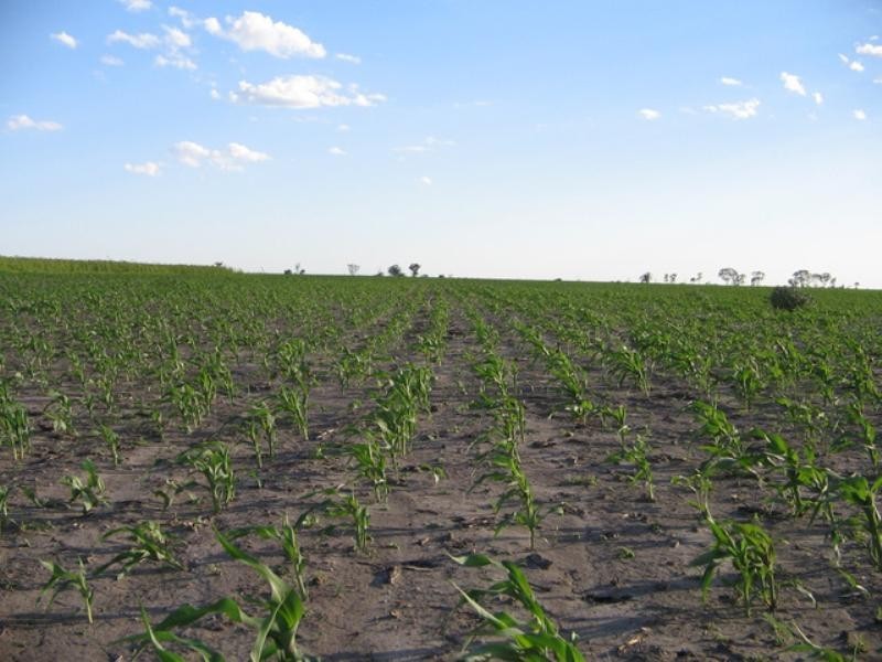 0 Mann Silo Road, Pittsworth QLD 4356