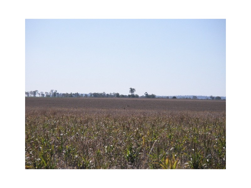 0 Mann Silo Road, Pittsworth QLD 4356