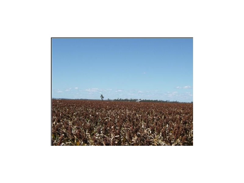 Pittsworth QLD 4356