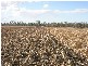 0 O’Learys Road, Pittsworth QLD 4356