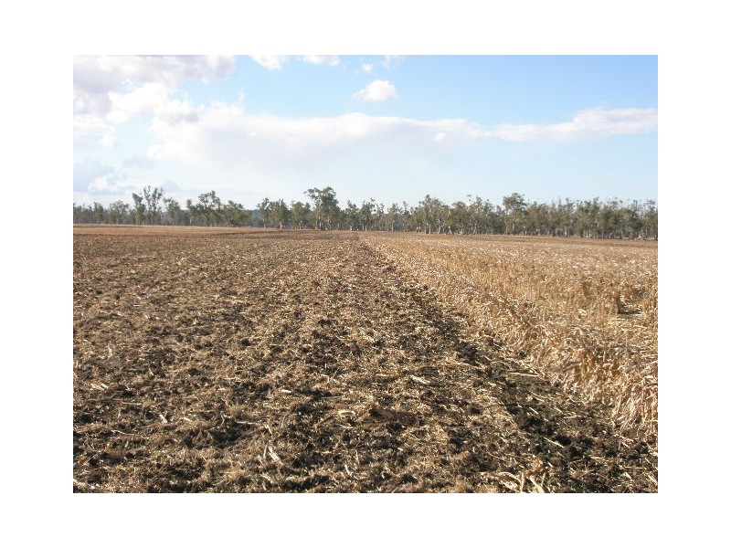 0 O’Learys Road, Pittsworth QLD 4356
