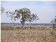Pittsworth QLD 4356