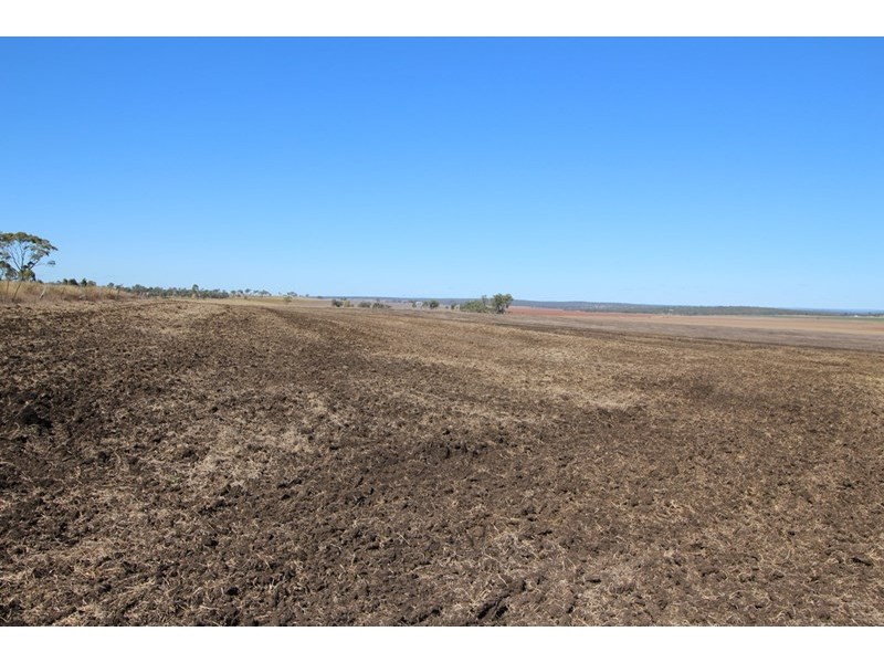 821 Clifton-Pittsworth Road, Clifton QLD 4361