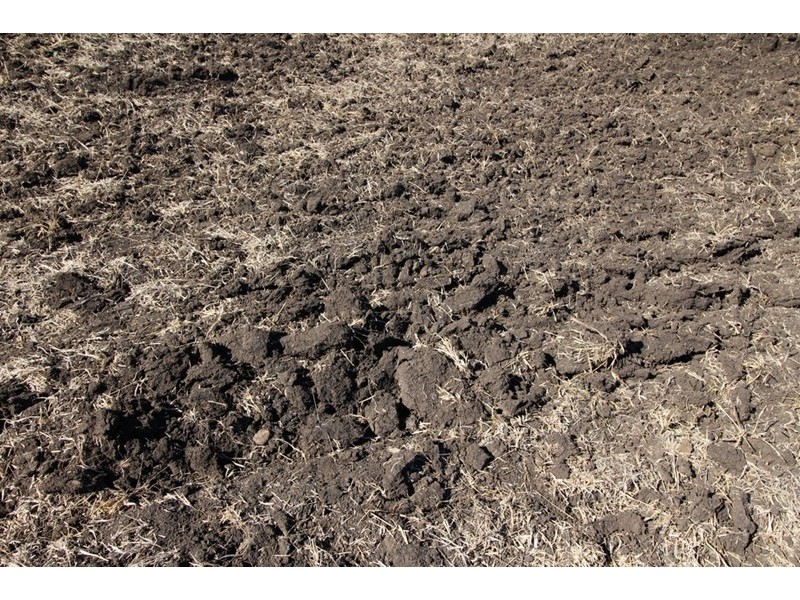 821 Clifton-Pittsworth Road, Clifton QLD 4361