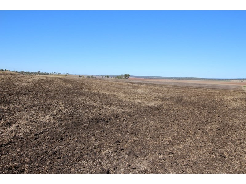 821 Clifton-Pittsworth Road, Clifton QLD 4361