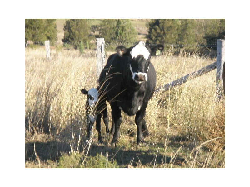 424 Lavelle Road, Millmerran QLD 4357