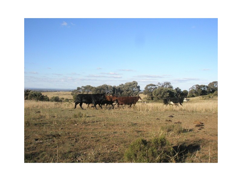 424 Lavelle Road, Millmerran QLD 4357