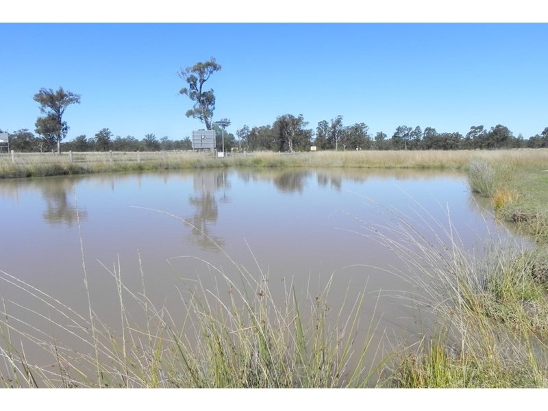 5 McCorkells Road, Inglewood QLD 4387