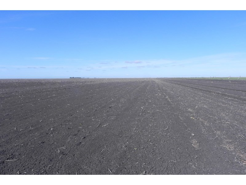 0 Jefferies Road, Tipton QLD 4405