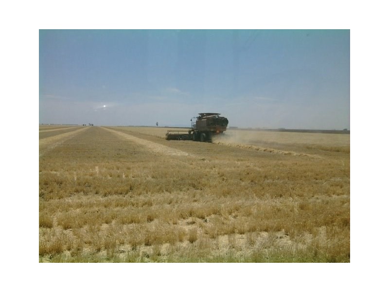 0 Jefferies Road, Tipton QLD 4405