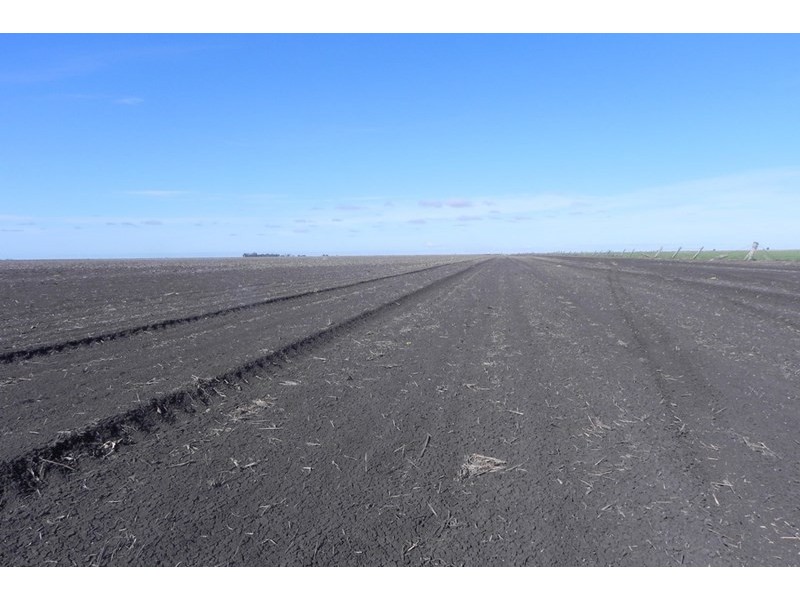 0 Jefferies Road, Tipton QLD 4405