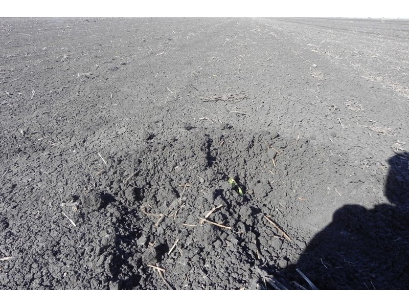 0 Jefferies Road, Tipton QLD 4405