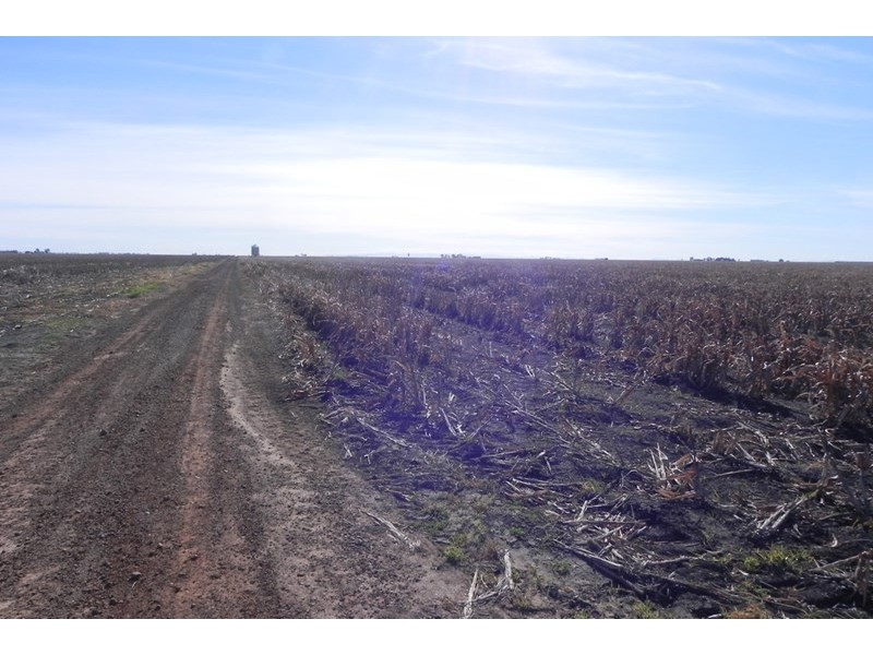 0 Jefferies Road, Tipton QLD 4405