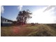 2136 Clifton-Leyburn Road, Ellangowan QLD 4361
