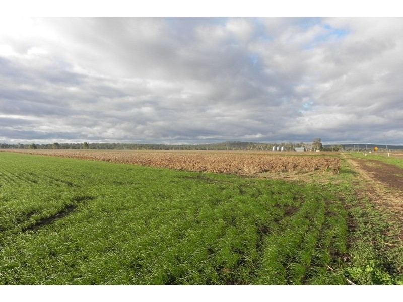 2136 Clifton-Leyburn Road, Ellangowan QLD 4361