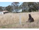 298 Woods Road, Ramsay QLD 4358