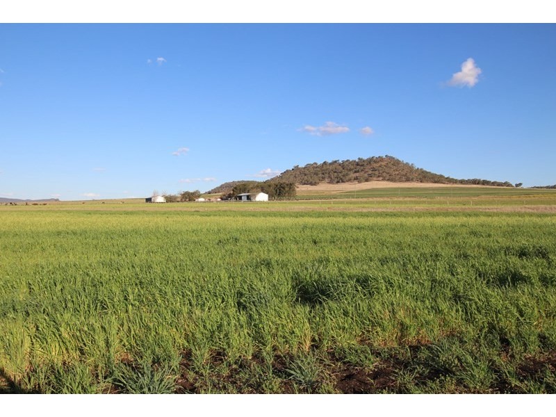 0 Manapouri Road, Pilton QLD 4361