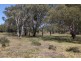 326 Stowers Rd, Linthorpe, Pittsworth QLD 4356