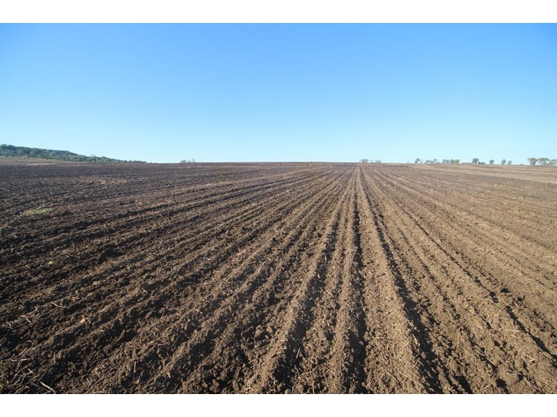 Pittsworth QLD 4356